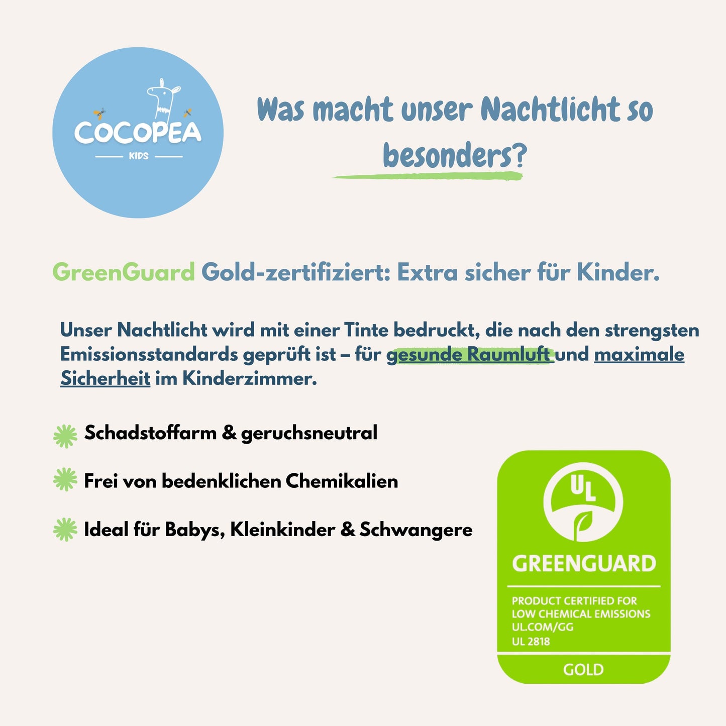 Nachtlicht Safari Tour