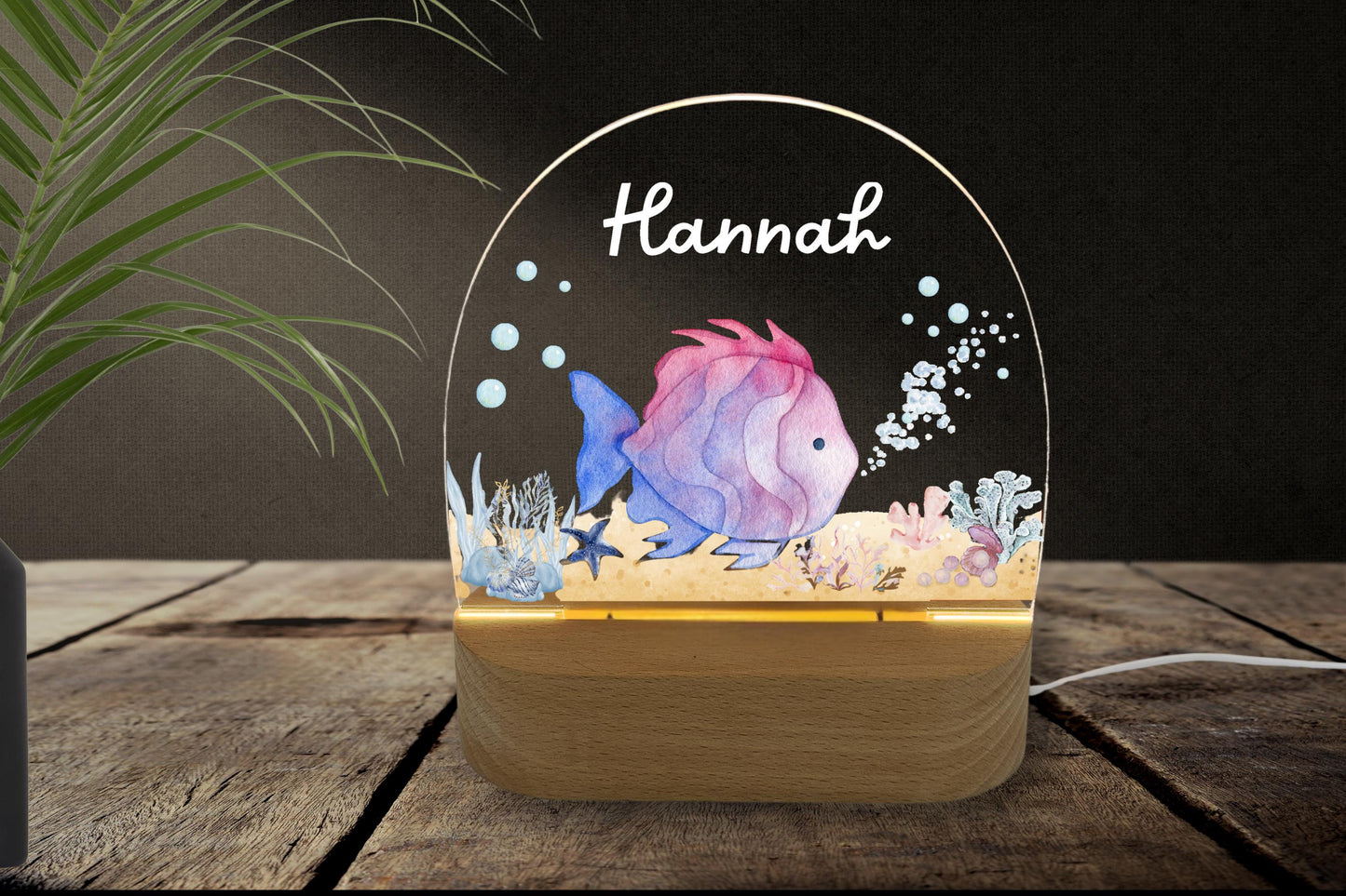 Nachtlicht Regenbogenfisch